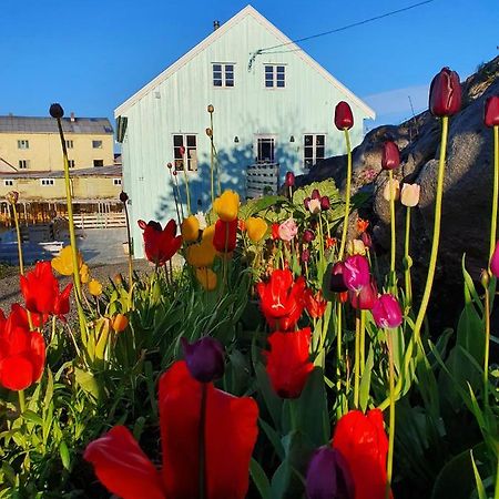 Lysvoldbrygga Bed and Breakfast Henningsvær Esterno foto