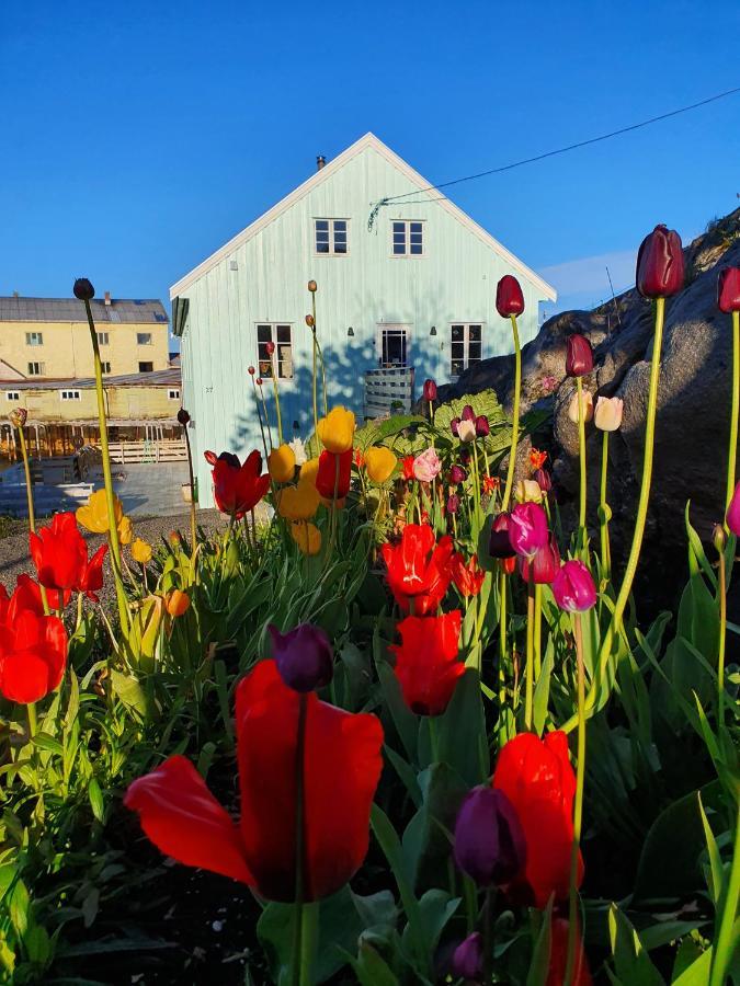 Lysvoldbrygga Bed and Breakfast Henningsvær Esterno foto