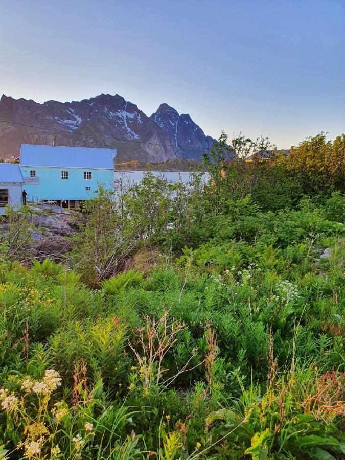 Lysvoldbrygga Bed and Breakfast Henningsvær Esterno foto